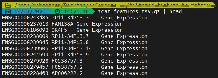 单细胞测序笔记1：数据读取_read10x-CSDN博客