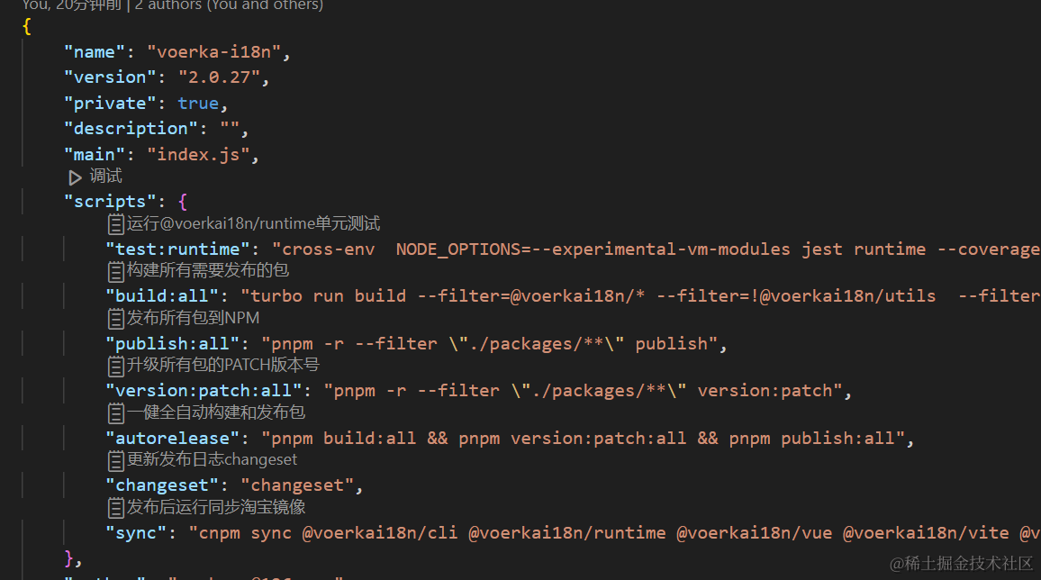 推荐VSCODE插件：为`package.json`添加注释信息