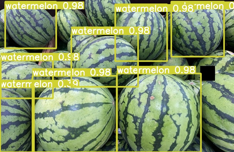 aug_3_watermelon07