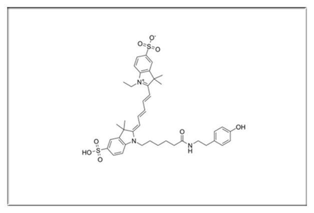 Suflo-Cyanine5.5 Tyramide，Suflo-Cyanine3 TSA，磺酸基-花青素Cy5 酪酰胺