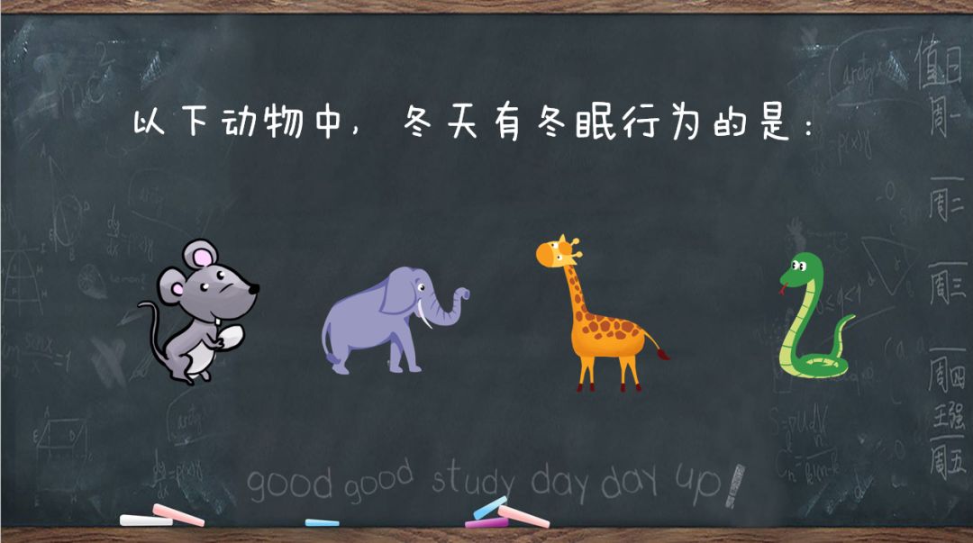d2005c22f64518690a8eaff2d4be0e43.png