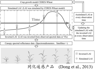 植被参数光学遥感反演方法(Python)及遥感与生态模型数据同化算法