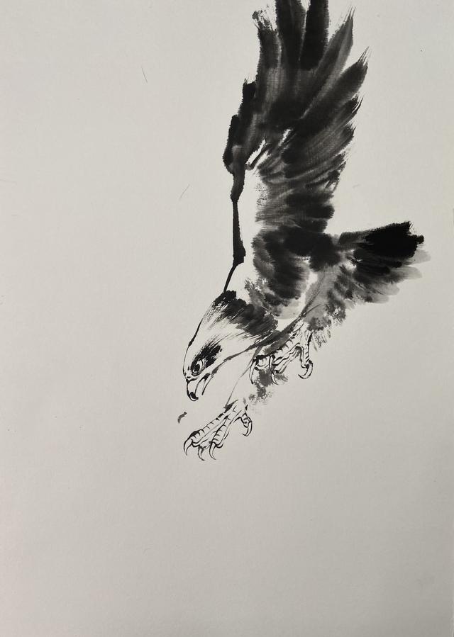 七边形简单画法步骤图小写意鹰击长空的画法和详细步骤图喜欢国画的