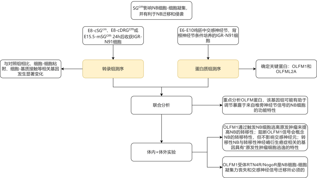 医学专题-多组学在疾病发生发展过程中的研究思路