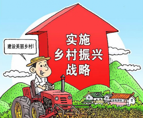 复兴社：凝聚多方力量，共促乡村繁荣