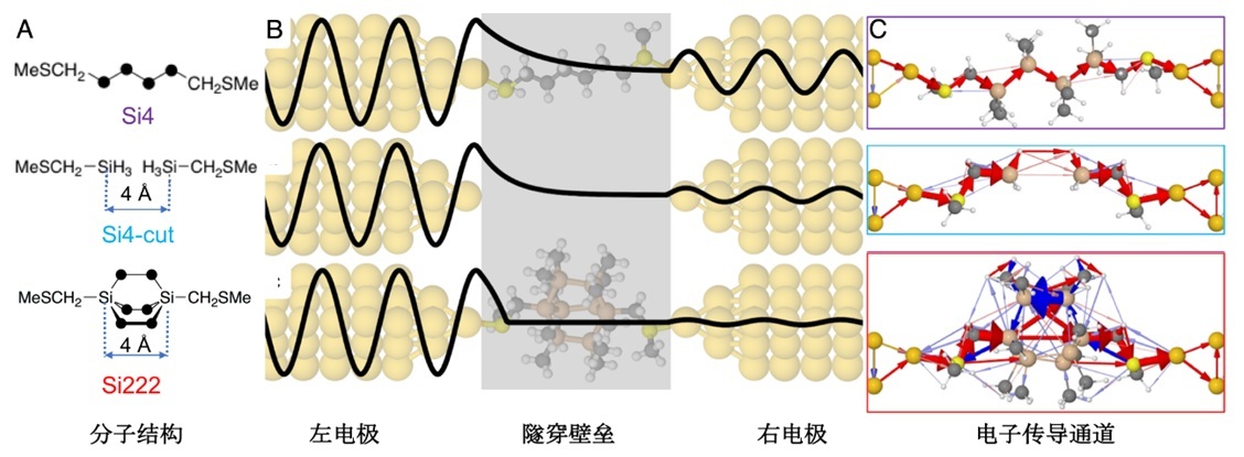 国内量子计算机研究课题组,上海师范大学肖胜雄教授课题组nature:通过