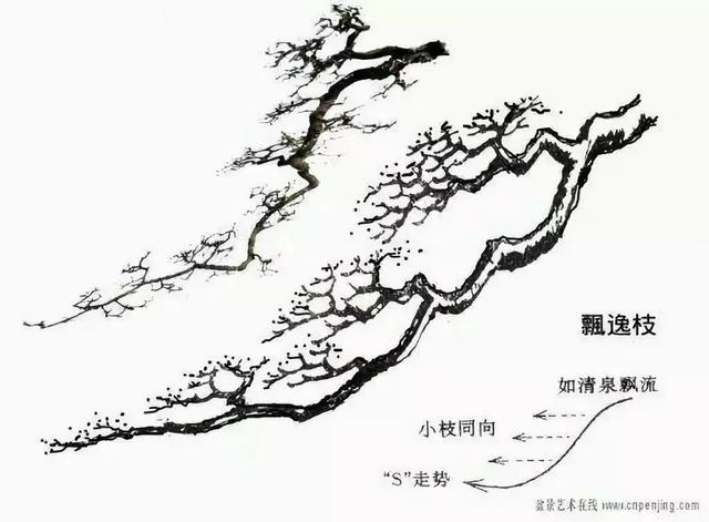 向上造型和向下造型盆景造型基础知识盆景造型中常见的9种枝法