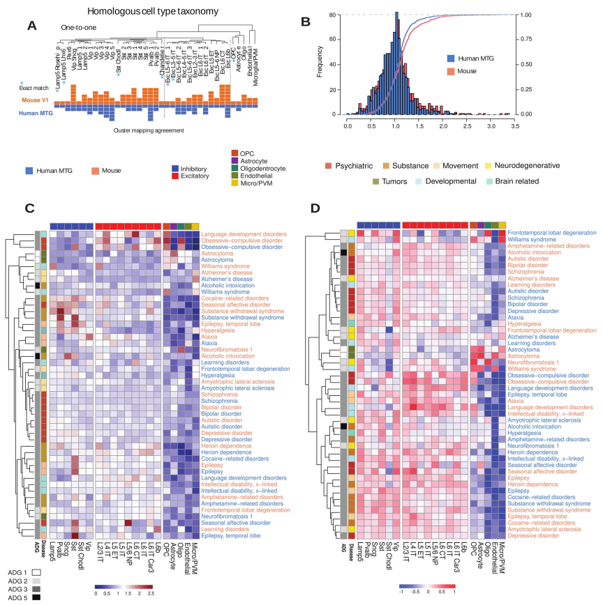 ​Plos Biology | 40种人类常见脑部疾病转录组学分析，提供基于分子的疾病分类和比较新策略_分类_05