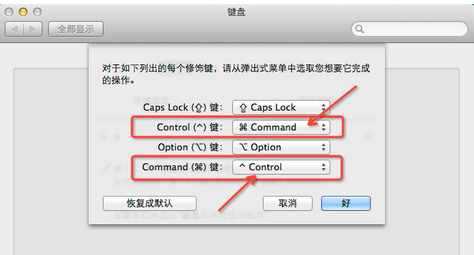 HTML中option和input的区别,option