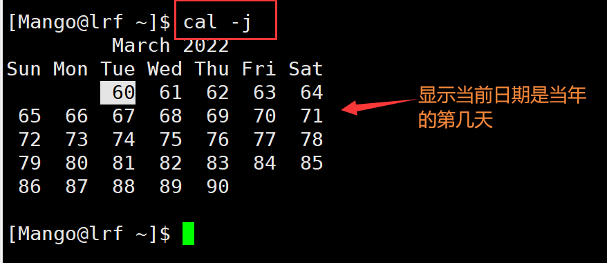 image-20220301191404702