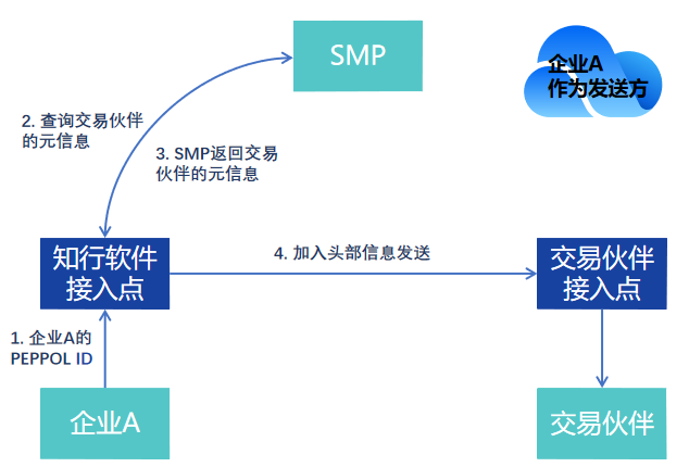 Peppol 详解指南