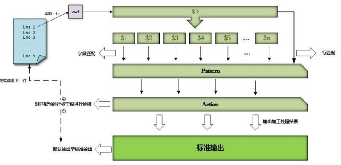 RHCE——十九、shell编程之awk