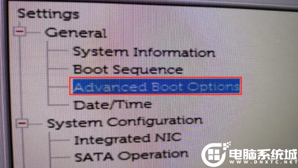 Advanced Boot Option