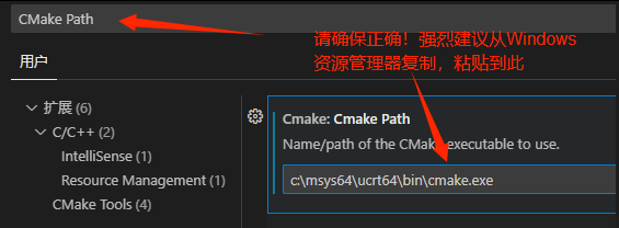 设置 cmake.exe 绝对路径