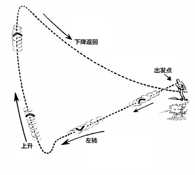 回旋镖的飞行轨迹示意总结:飞旋镖之所以能够回到我们的手中,是因为它