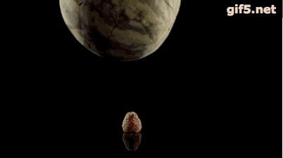 d44d9bc7f9956d10140e52b853990d9b.gif
