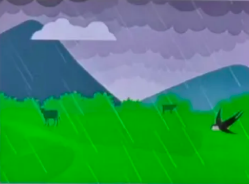 2024Scratch信息素养大赛-图形化编程小低组