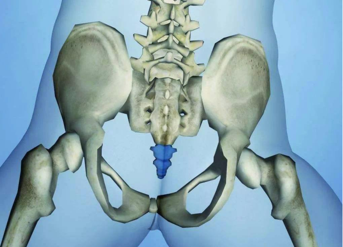 httpurlconnection如果不关闭会有什么结果人类的祖先为