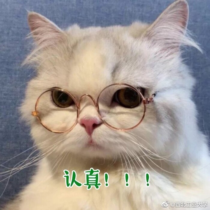 d4f55e17377db56006837b7c21b2fe18.png