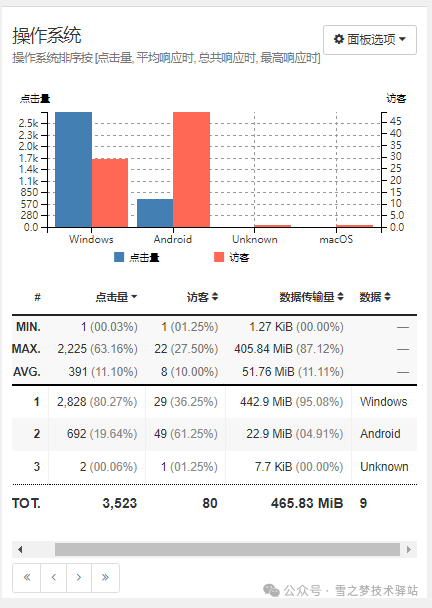 GoAccess实战秘籍：从新手到高手，跨越那些“坑”与“惑”！