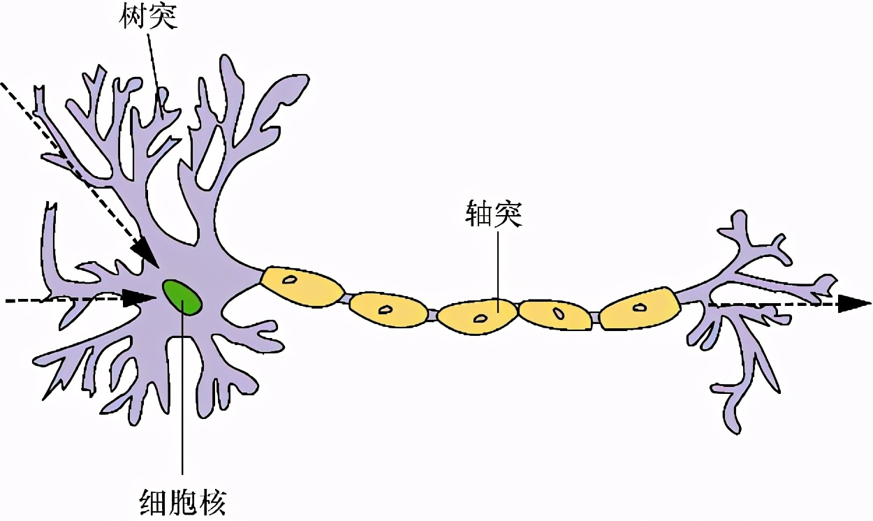 自然语言处理怎么最快入门？