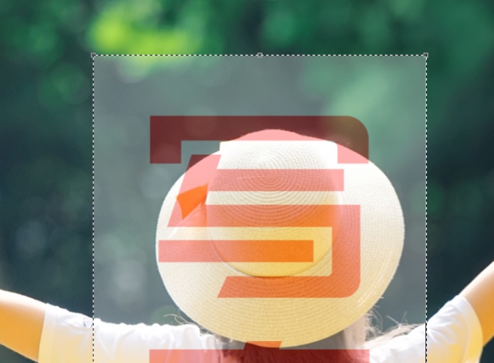 d53f75a84792492b2e121b17161c8e4d.png