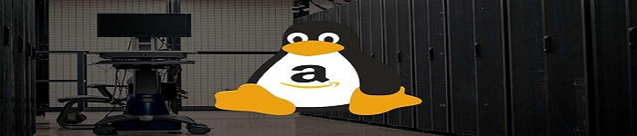 亚马逊展示新通用 Linux 发行版AL2022亚马逊展示新通用 Linux 发行版AL2022