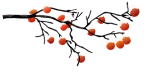 d5a42bc27d5864092fade004c971f081.gif