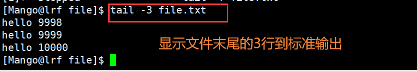 image-20220227103140578