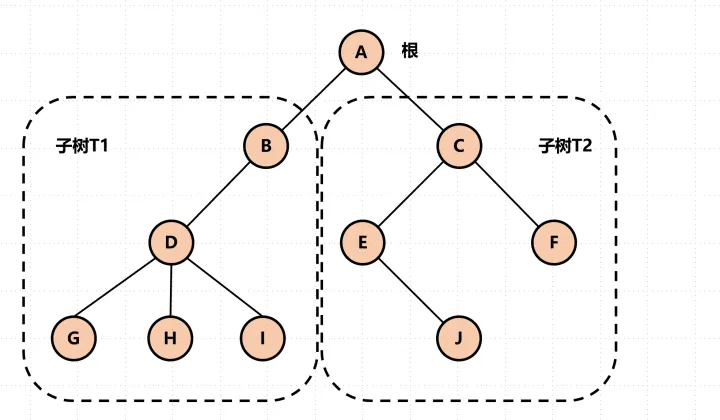 树和森林与二叉树的相互转换_ac果的博客-CSDN博客