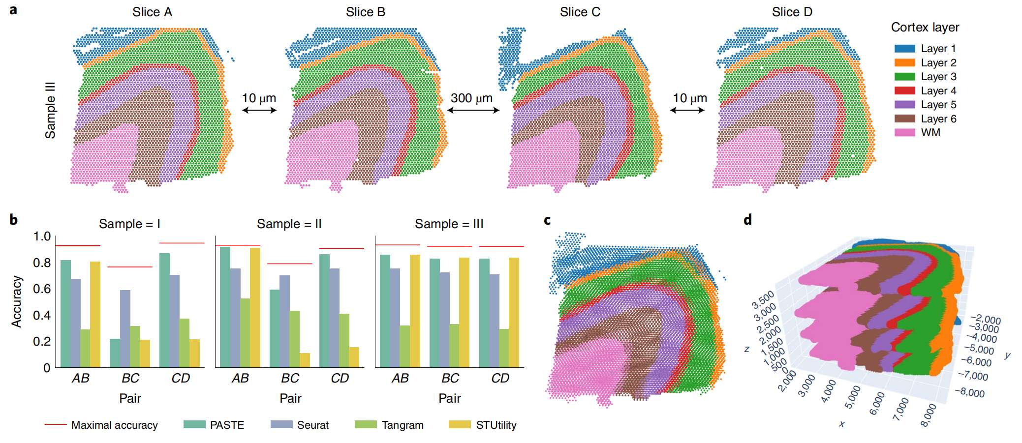 Fig.5 DLPFC 样品 III 的 PASTE 成对对齐和堆叠 3D 对齐
