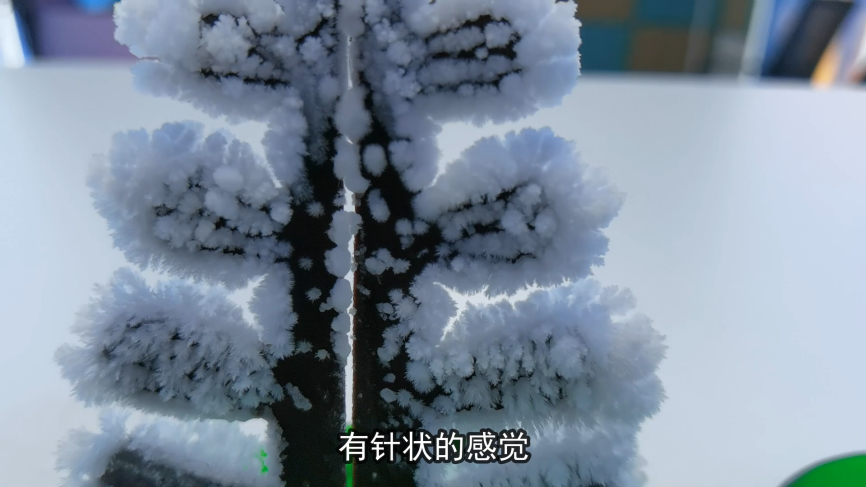 白雪纷纷何所似？撒盐空中差可拟的图6