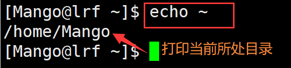 image-20220313114648202