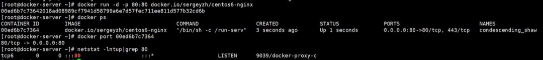 Docker 从入门到实战
