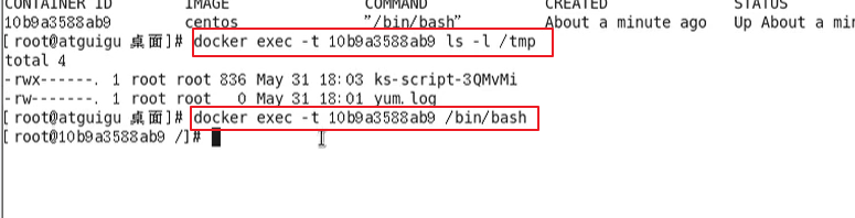 image-20210105202016879