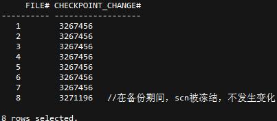 d6b5995441428f7df274db5e442be773.png