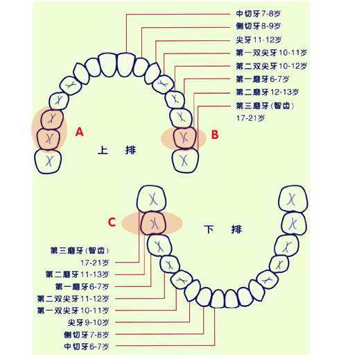 d6c31b68ac78298a883483c5435bdfec.png