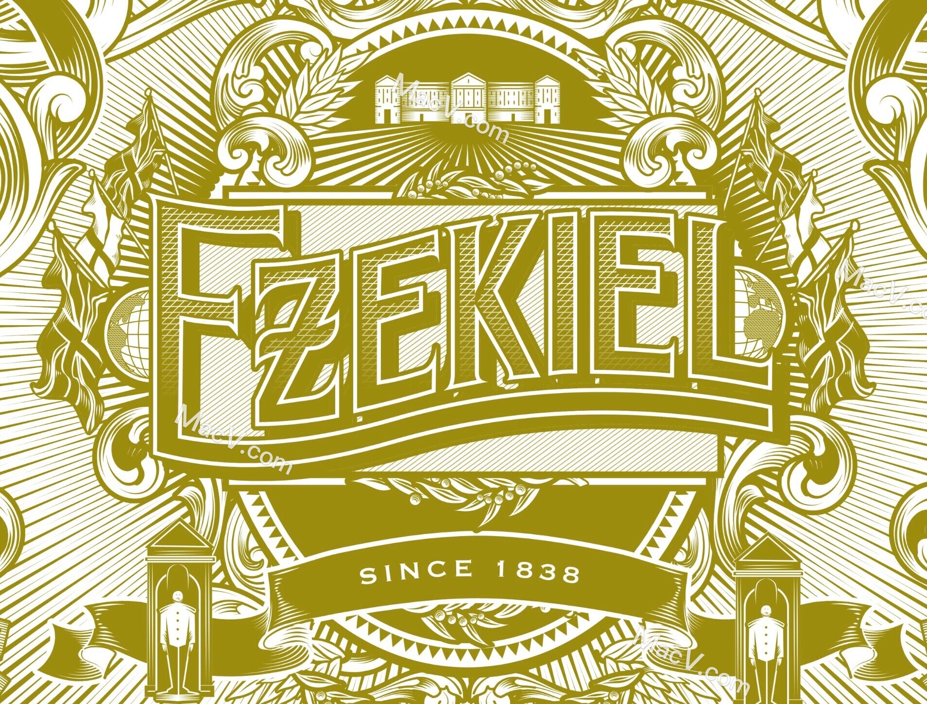 affinity designer for mac(强大的矢量图设计软件)v2.5.2版