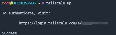 tailscale1