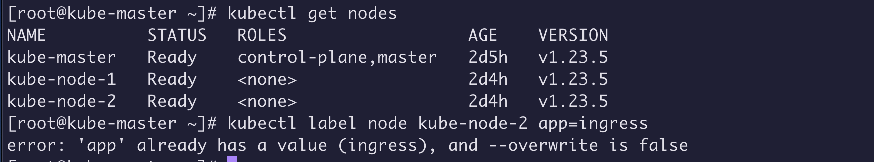 d73384ac7ba4128de0180584fb4c398f - k8s 新版本 部署 Ingress-nginx controller