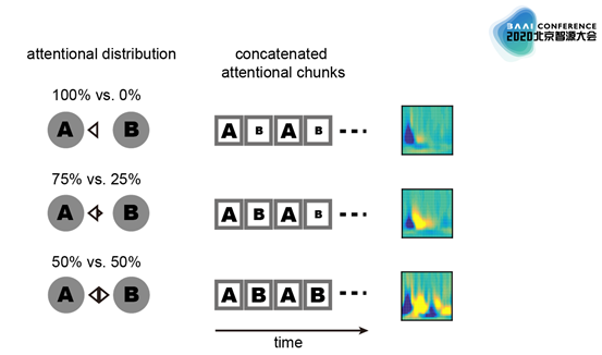 北大心理与认知学院院长方方：人类注意力图和动态机制