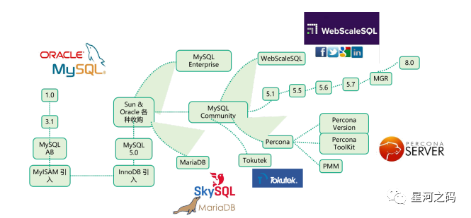 MySQL主流分支.png