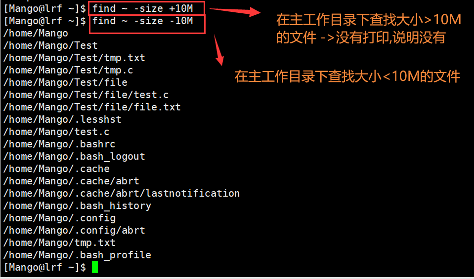 image-20220301192200049