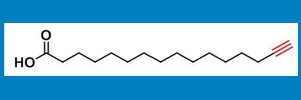 99208-90-9_炔基-棕榈酸_Alkynyl Palmitic Acid 可进行定制