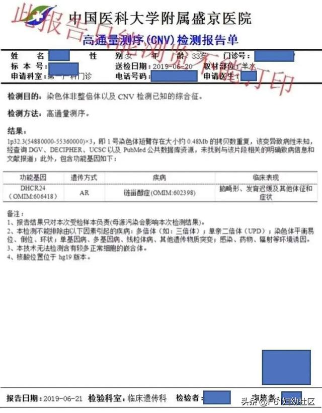 结果解读染色体cnv检测结果解读
