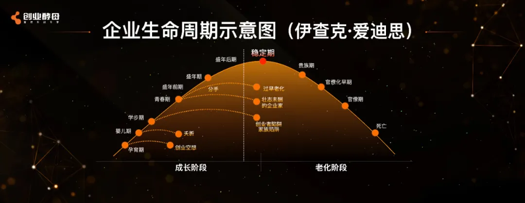 张丽俊最新演讲：要像竹子一样扎根，你终会一飞冲天