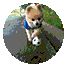 d791394a109f1330b9e838d9ca173be7.gif