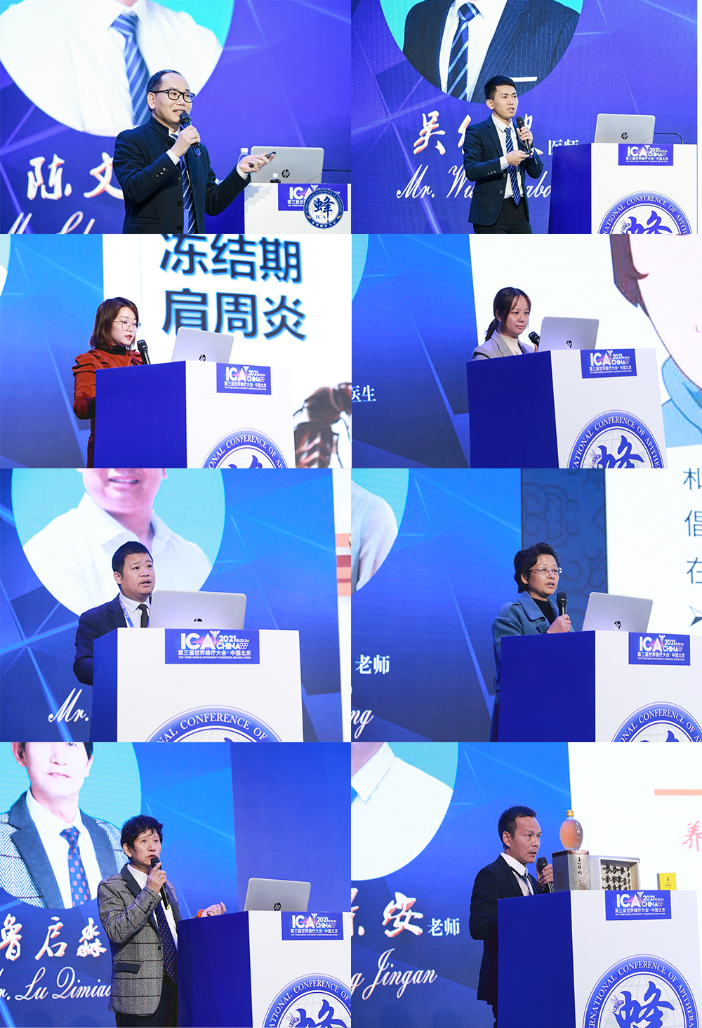 第三届世界蜂疗大会在北京盛大召开