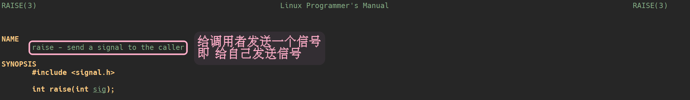image-20230404173228488