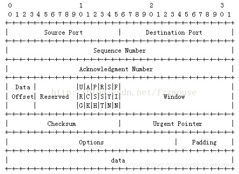 【TCP】图解，一步一步拆解TCP包结构，各个字段分析_首部_02